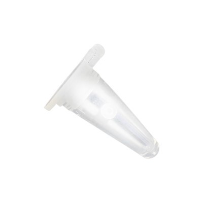 ओलंपस एंडोस्कोप के लिए सीसीडी कवर लेंस